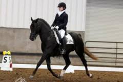 Beau-Dressage-1