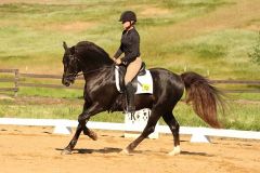Beau-Dressage-2