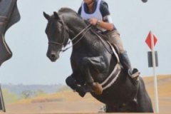 Beau-XC