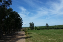 20170423_141004