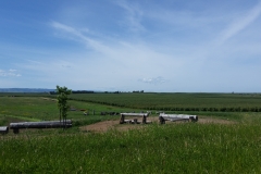 20170423_143403