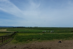 20170423_145536